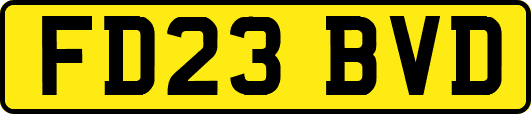 FD23BVD