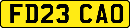 FD23CAO