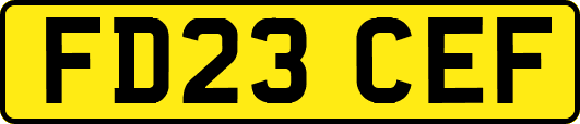 FD23CEF