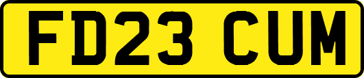 FD23CUM