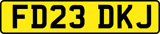 FD23DKJ