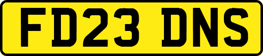FD23DNS