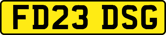 FD23DSG