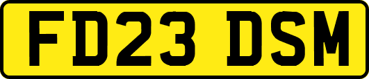 FD23DSM