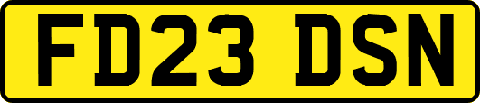 FD23DSN