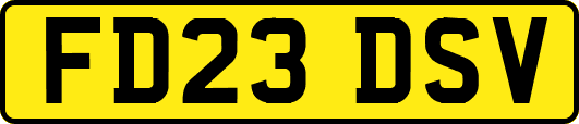 FD23DSV