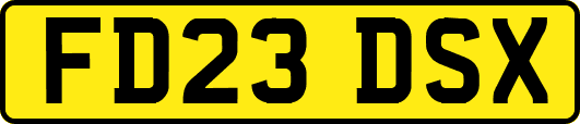 FD23DSX