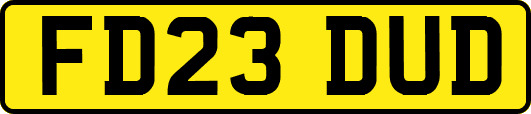 FD23DUD
