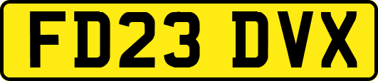 FD23DVX