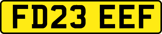 FD23EEF
