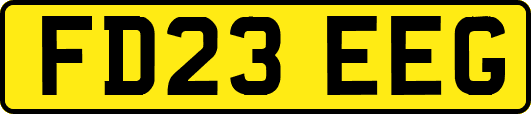 FD23EEG