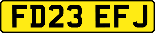 FD23EFJ