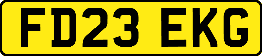 FD23EKG