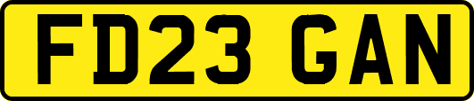 FD23GAN
