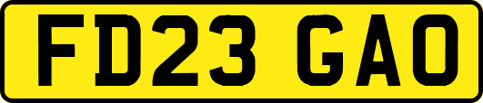 FD23GAO