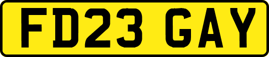 FD23GAY