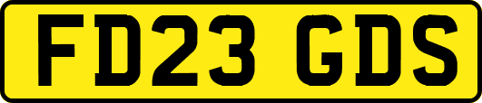 FD23GDS