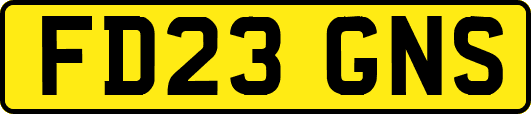 FD23GNS