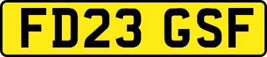 FD23GSF