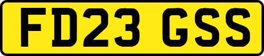 FD23GSS