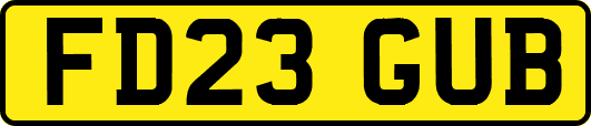 FD23GUB