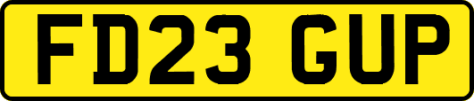 FD23GUP