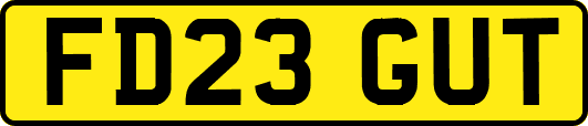 FD23GUT