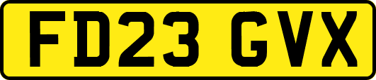 FD23GVX