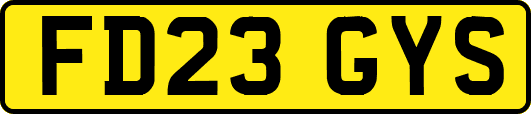 FD23GYS