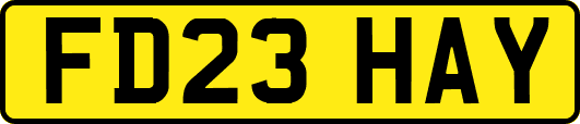 FD23HAY