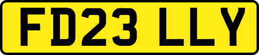 FD23LLY