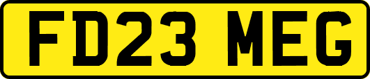 FD23MEG