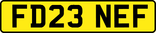 FD23NEF