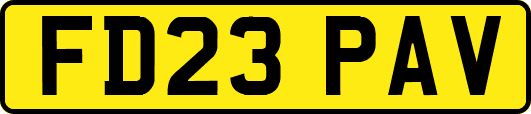 FD23PAV