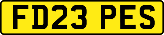 FD23PES