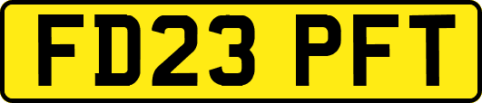 FD23PFT