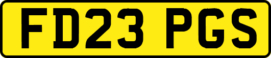FD23PGS