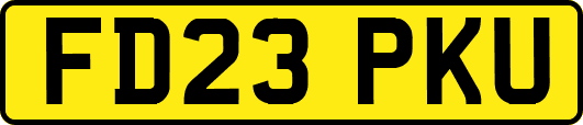 FD23PKU