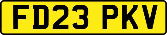 FD23PKV