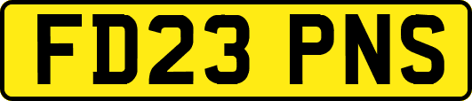 FD23PNS