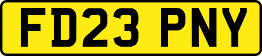 FD23PNY