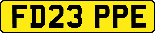 FD23PPE