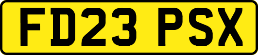 FD23PSX