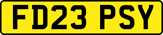 FD23PSY