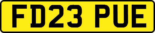 FD23PUE