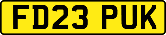 FD23PUK