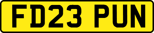 FD23PUN