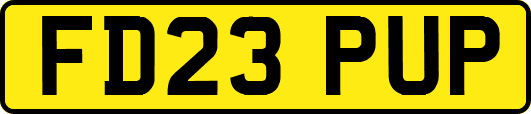 FD23PUP