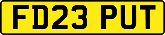 FD23PUT