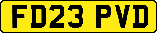 FD23PVD